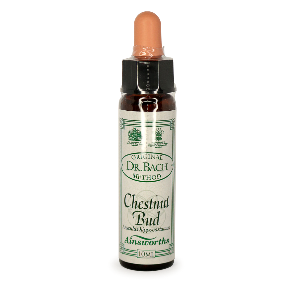 Ainsworths Bach Chestnut Bud