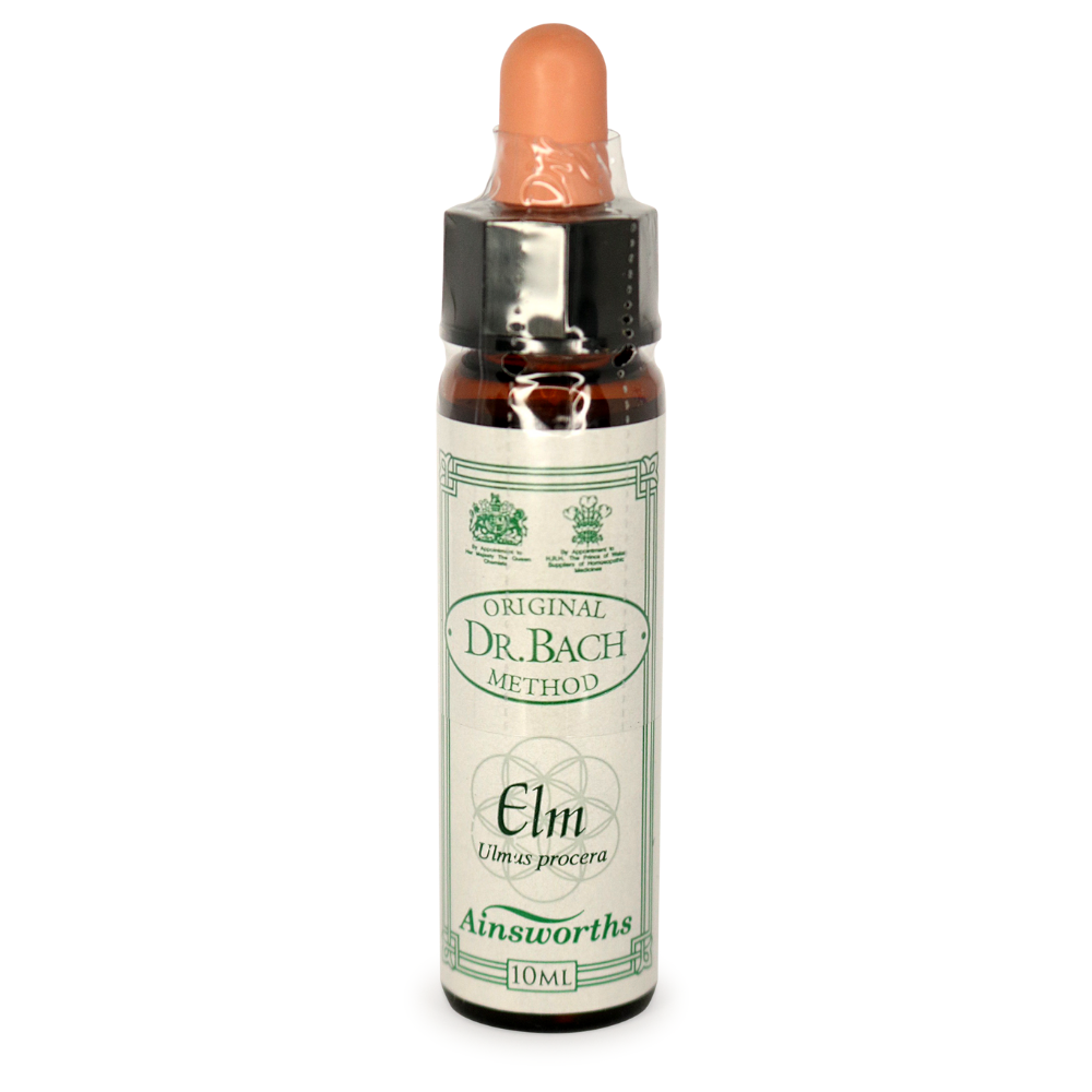 Ainsworths Bach Elm