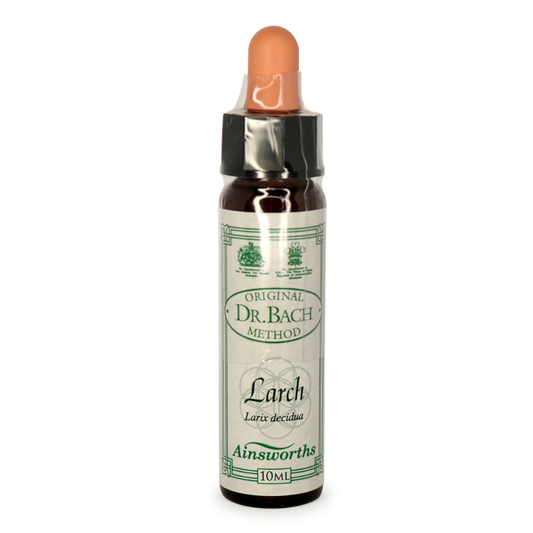 Ainsworths Bach Larch