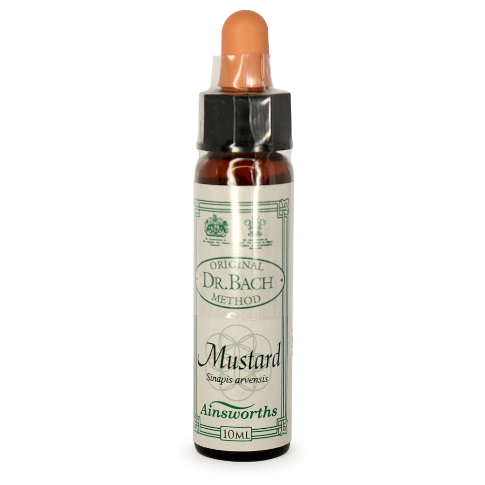 Ainsworths Bach Mustard