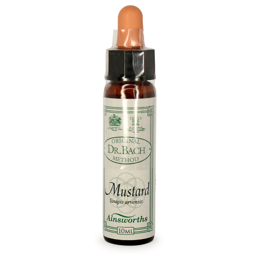 Ainsworths Bach Mustard