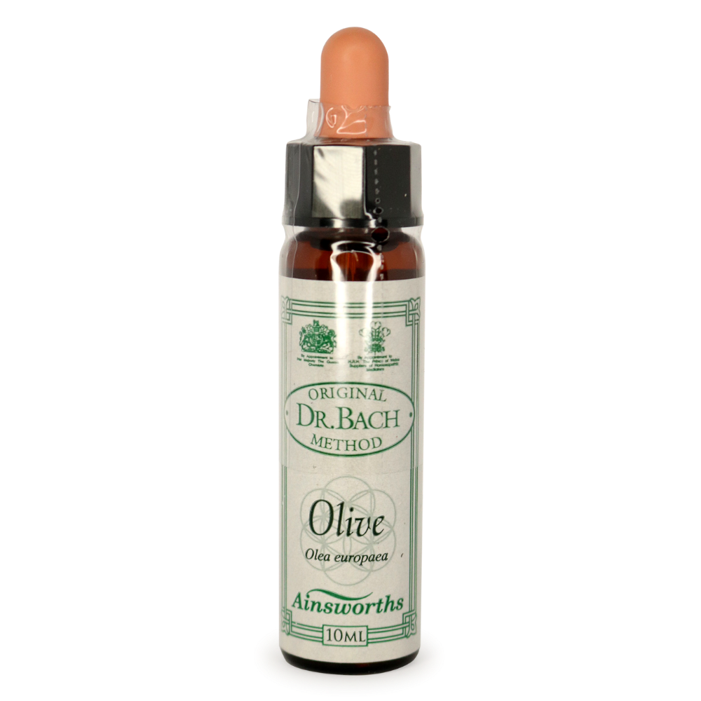 Ainsworths Bach Olive