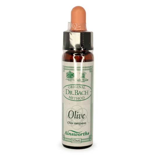 Ainsworths Bach Olive