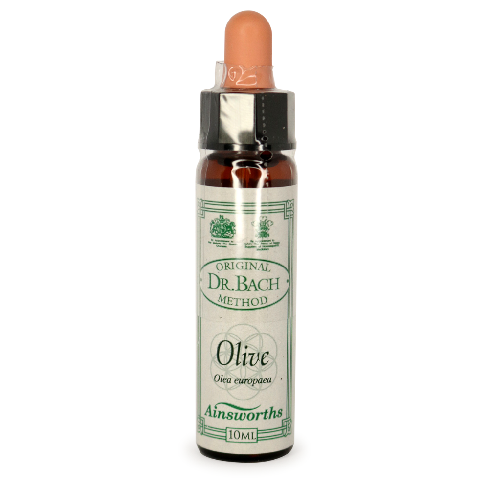 Ainsworths Bach Olive
