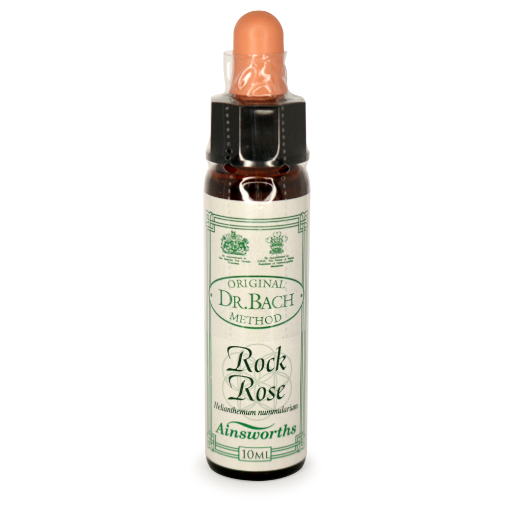 Ainsworths Bach Rock Rose