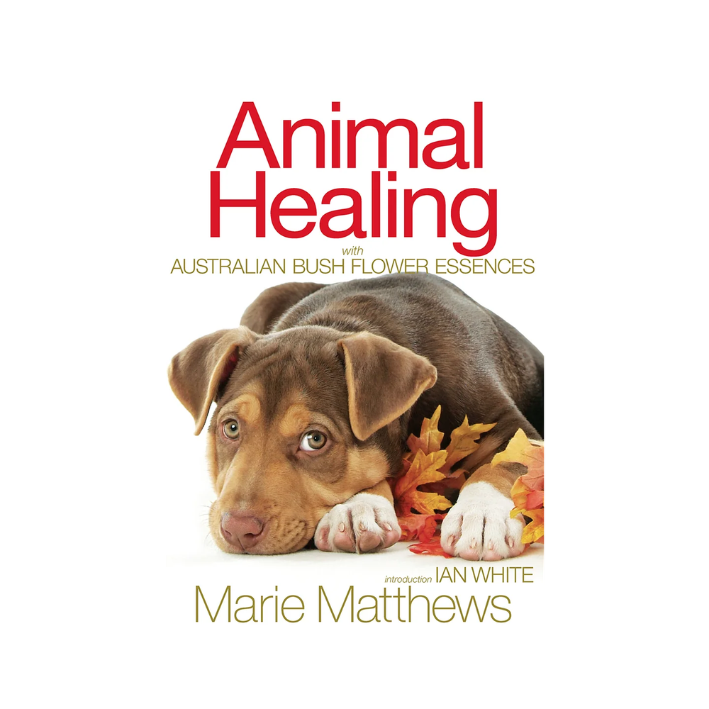 Australian Bush Flower Essences Book Animal Healing
