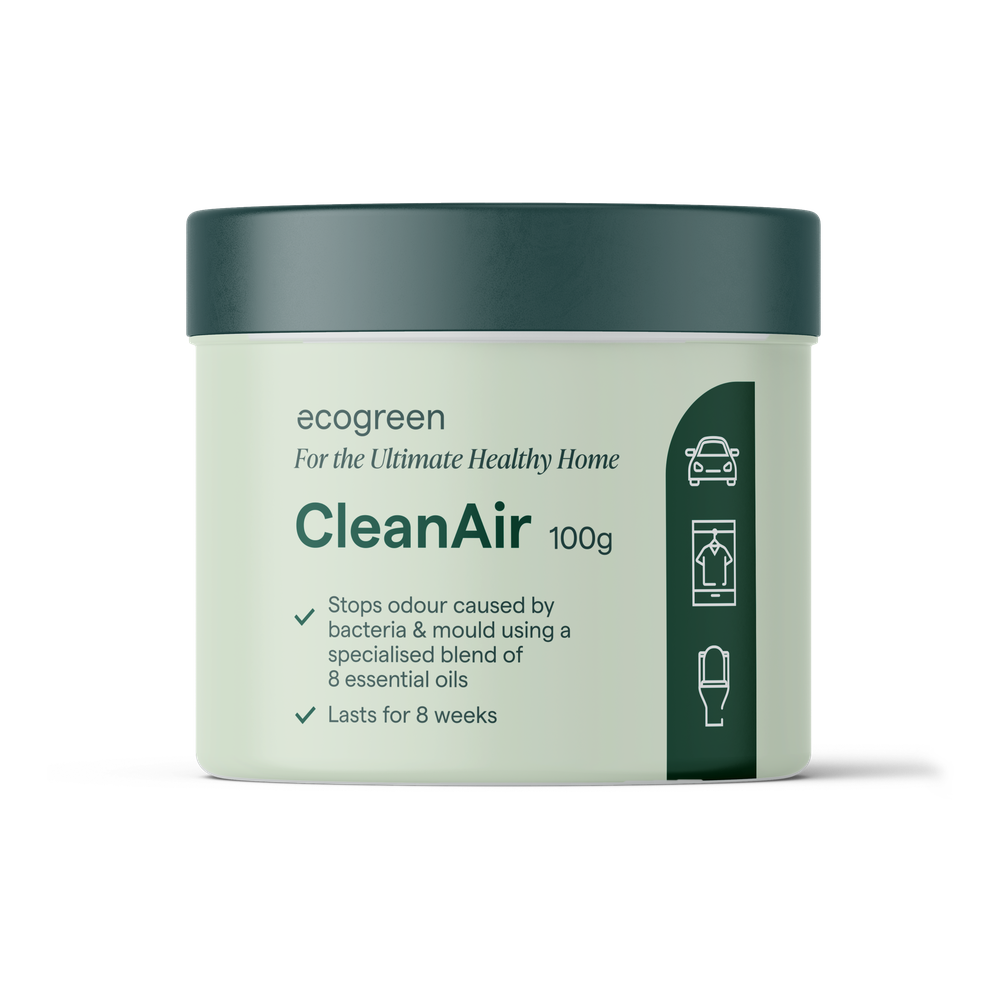 EcoGreen Healthy Home CleanAir