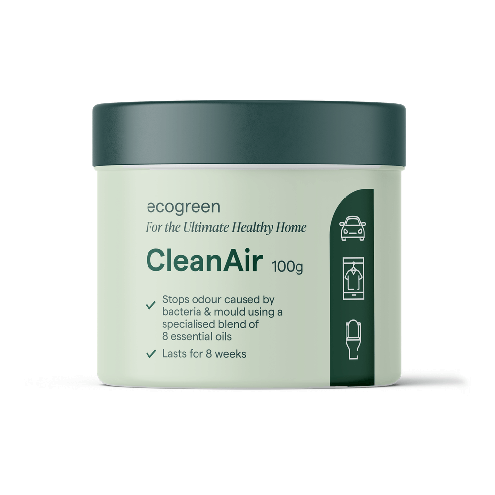 EcoGreen Healthy Home CleanAir