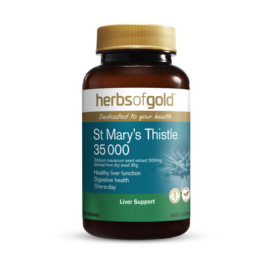 Herbs of Gold St Mary's Thistle 35 000