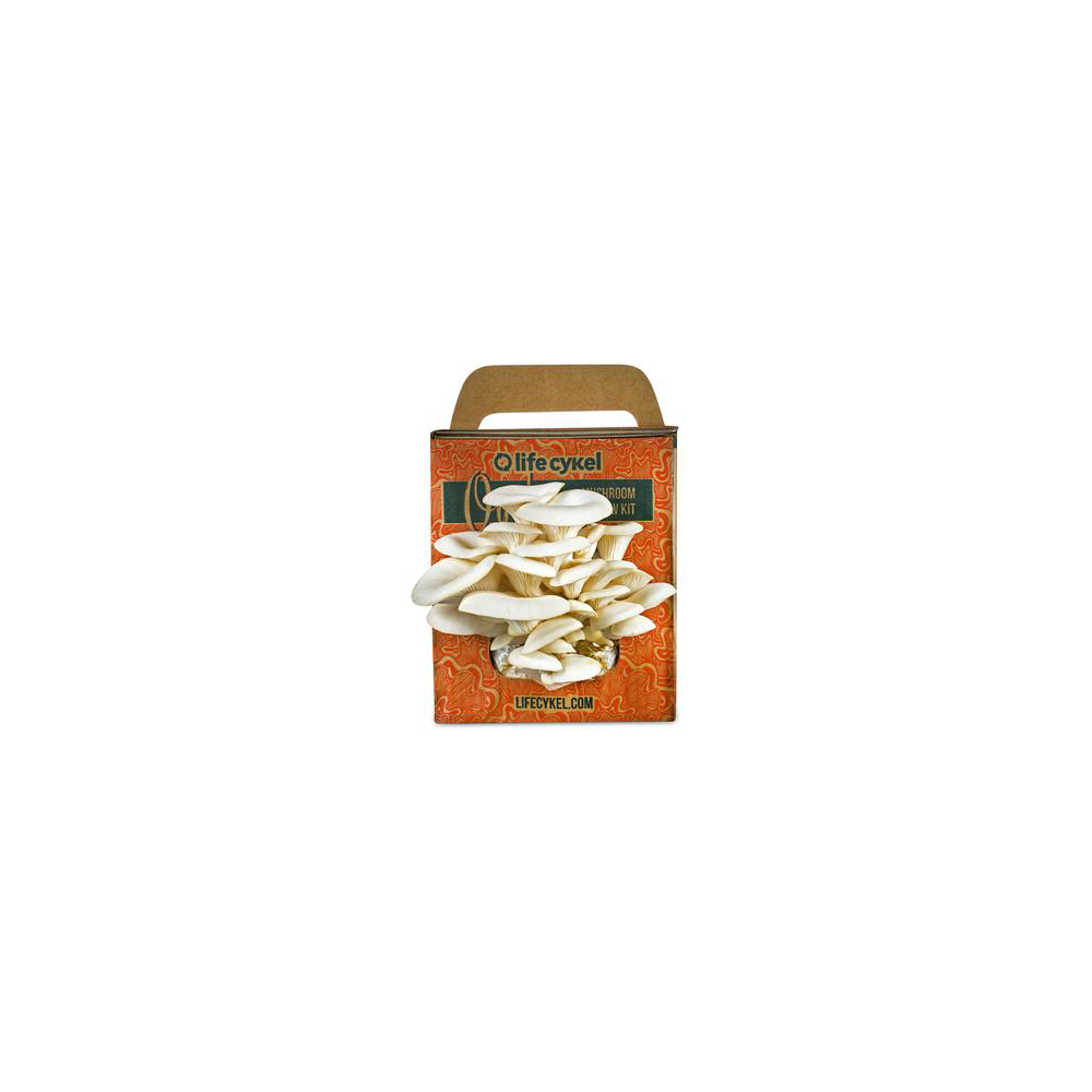 Life Cykel Grow Kit Oyster Mushroom