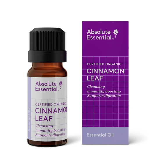 Absolute Essential Pure Oil Cinnamon Leaf