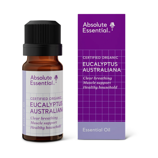 Absolute Essential Pure Oil Eucalyptus Australiana