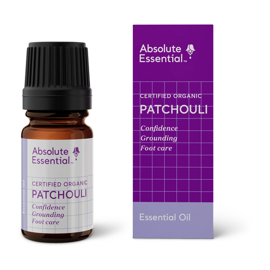 Absolute Essential Pure Oil Patchouli