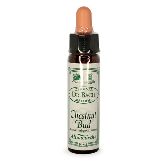 Ainsworths Bach Chestnut Bud