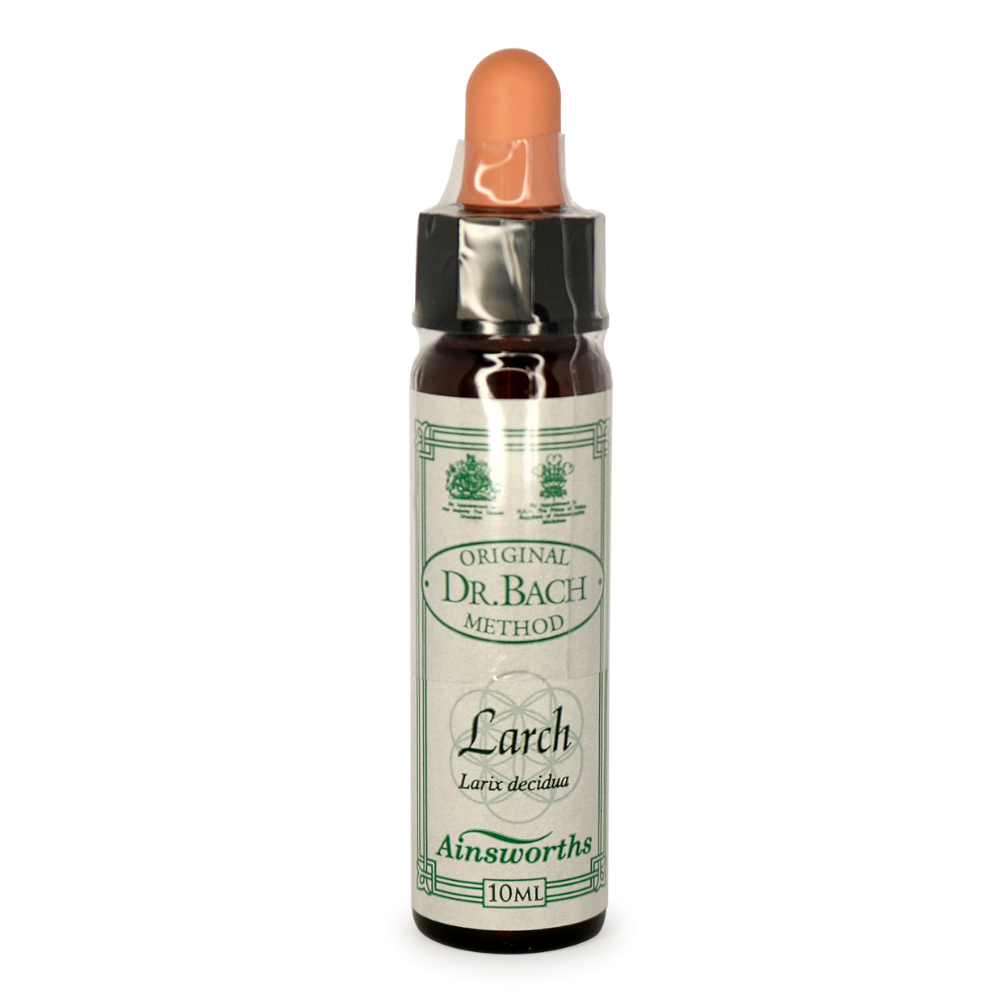 Ainsworths Bach Larch