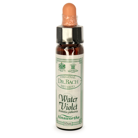 Ainsworths Bach Water Violet