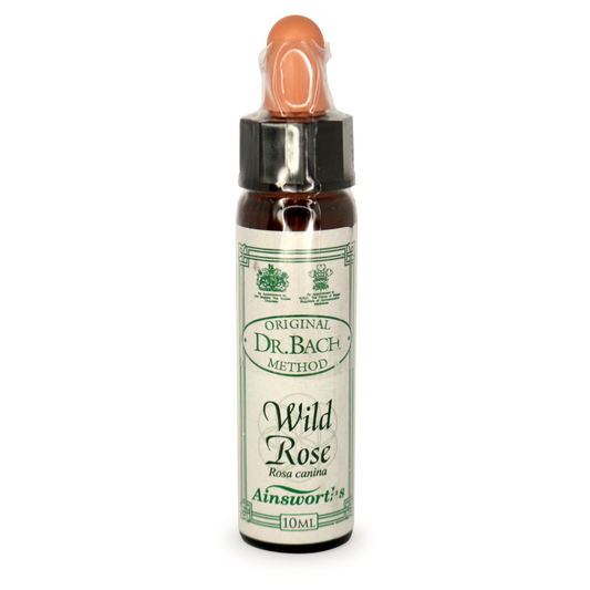 Ainsworths Bach Wild Rose
