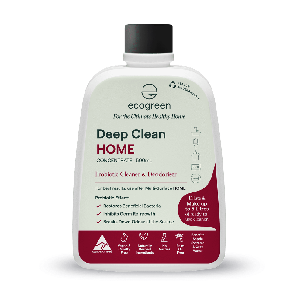 EcoGreen Healthy Home Deep Clean