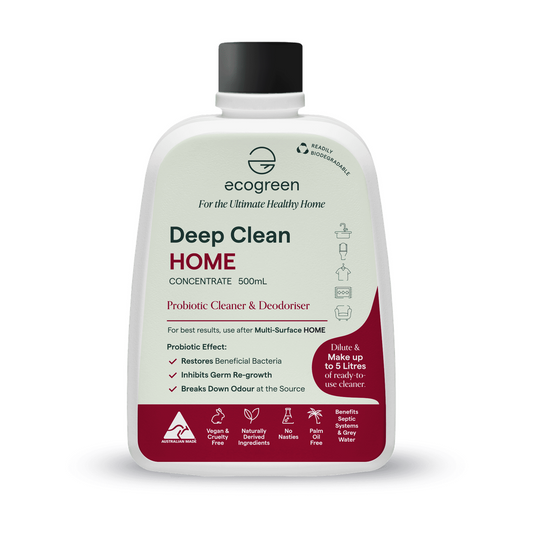 EcoGreen Healthy Home Deep Clean
