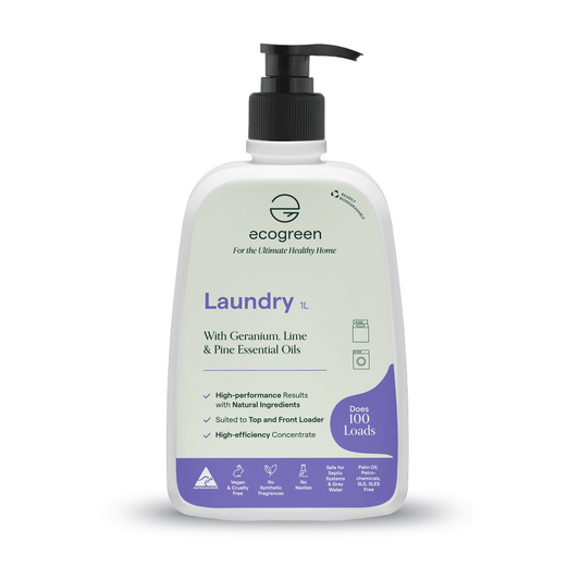 EcoGreen Healthy Home Laundry