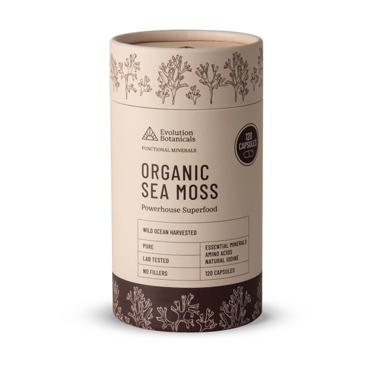 Evolution Botanicals Organic Sea Moss Caps