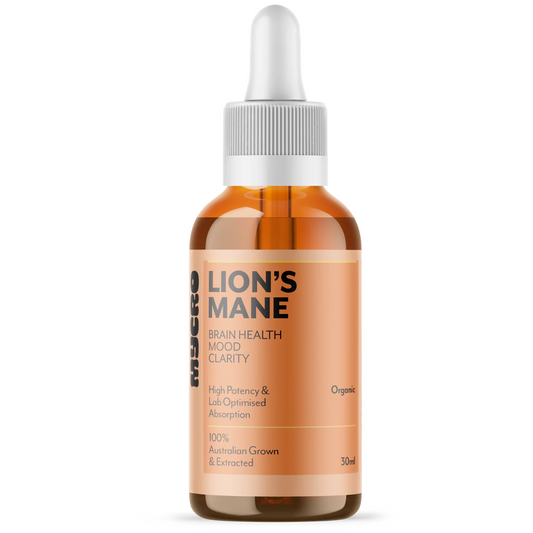 Mycro Lion’s Mane