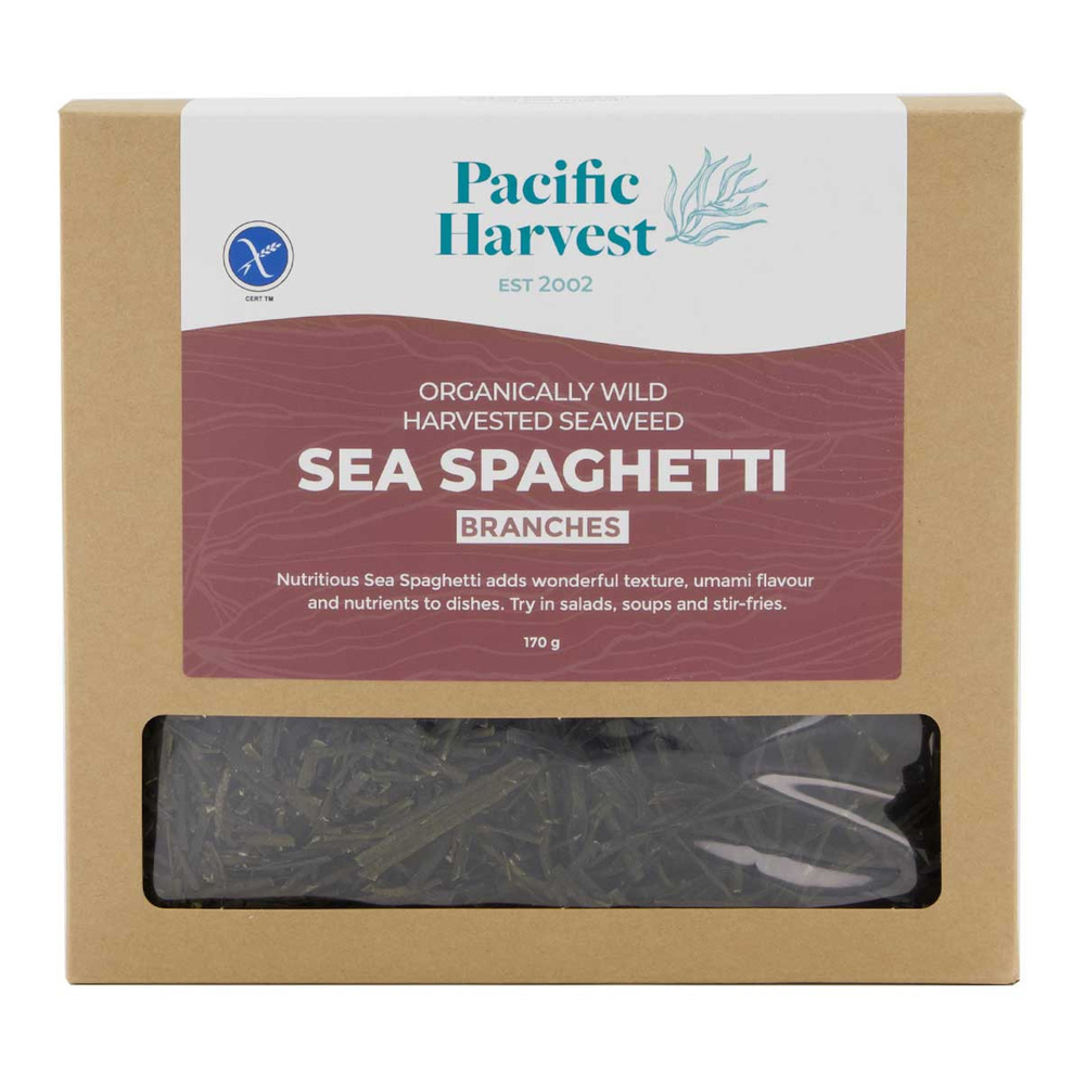 Pacific Harvest Sea Spaghetti Branches