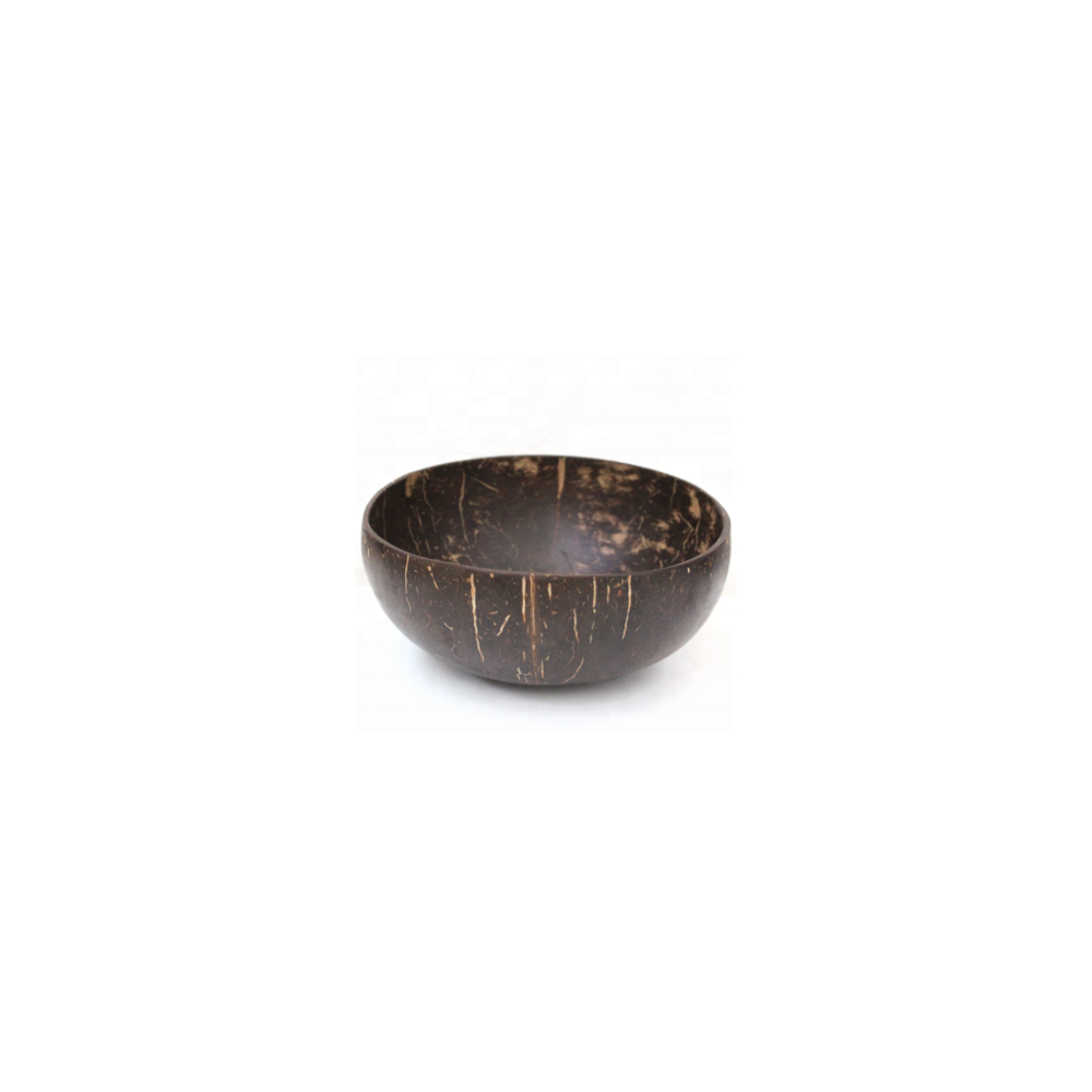 Project Earth Natural Coconut Bowl (Polished) Large