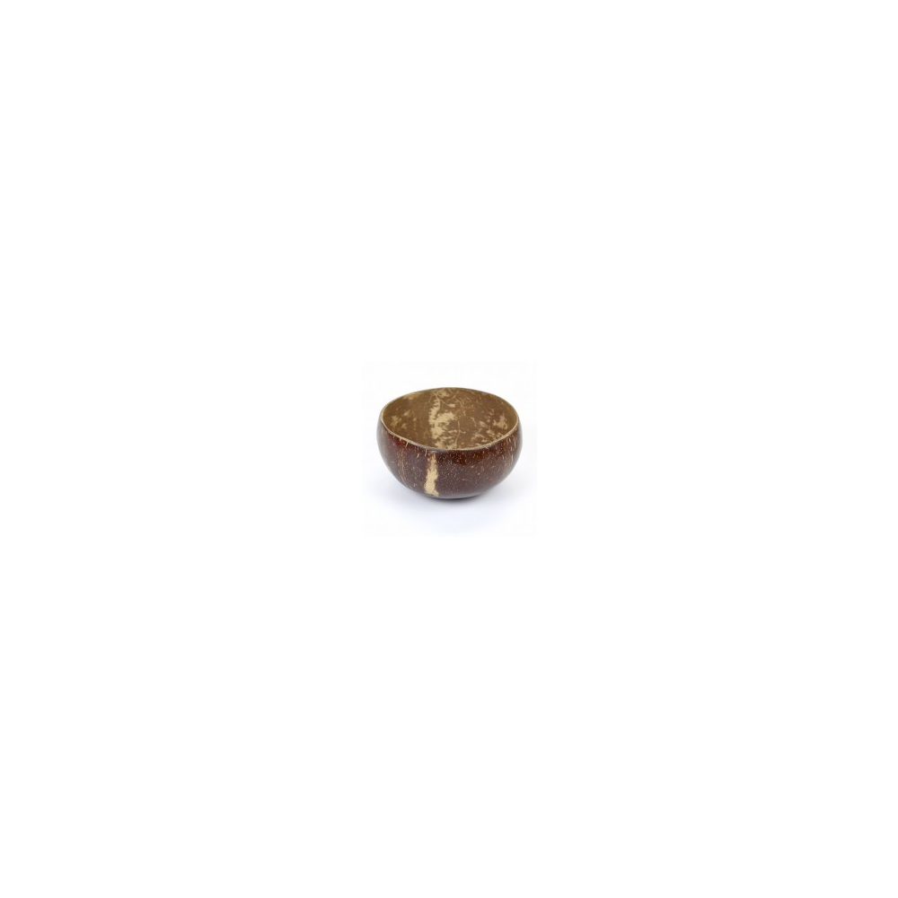 Project Earth Natural Coconut Bowl (Polished) Small
