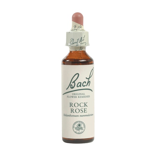 [25054316] Bach Flower Rock Rose